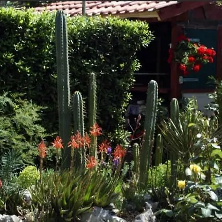 Cactus House Gaspar Apartament Zadar
