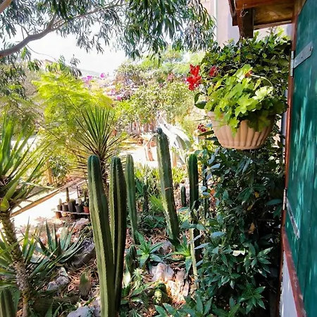Apartament Cactus House Gaspar *