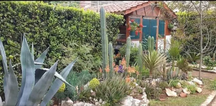 Cactus House Gaspar 公寓 *