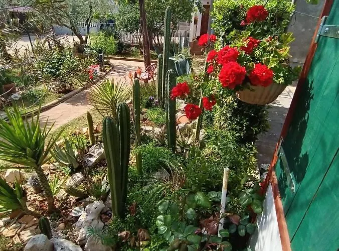 Cactus House Gaspar Apartament