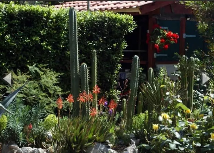 Cactus House Gaspar 公寓 扎达尔