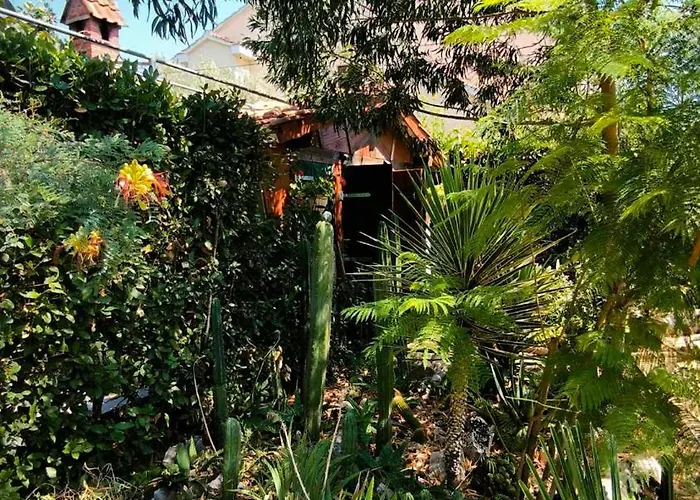 Cactus House Gaspar *