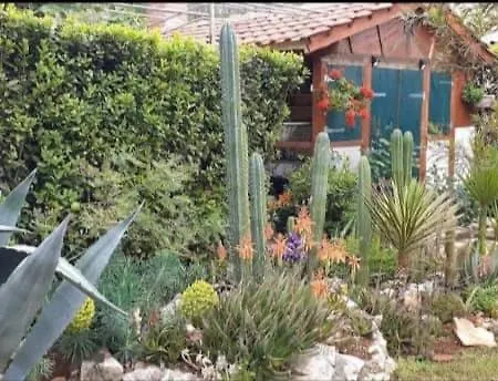 Cactus House Gaspar Apartment *