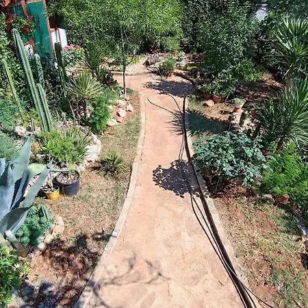 Apartment Cactus House Gaspar Zadar