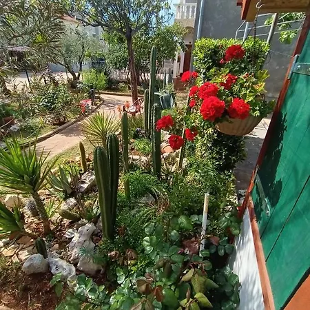 Cactus House Gaspar Daire